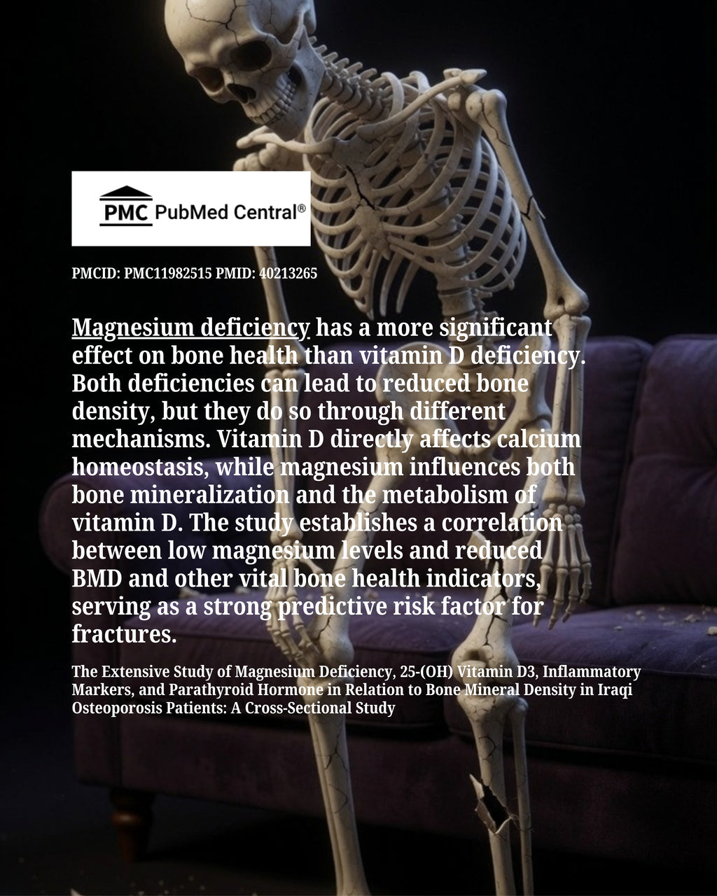 OsteoDense-T By The Plant Chemistry