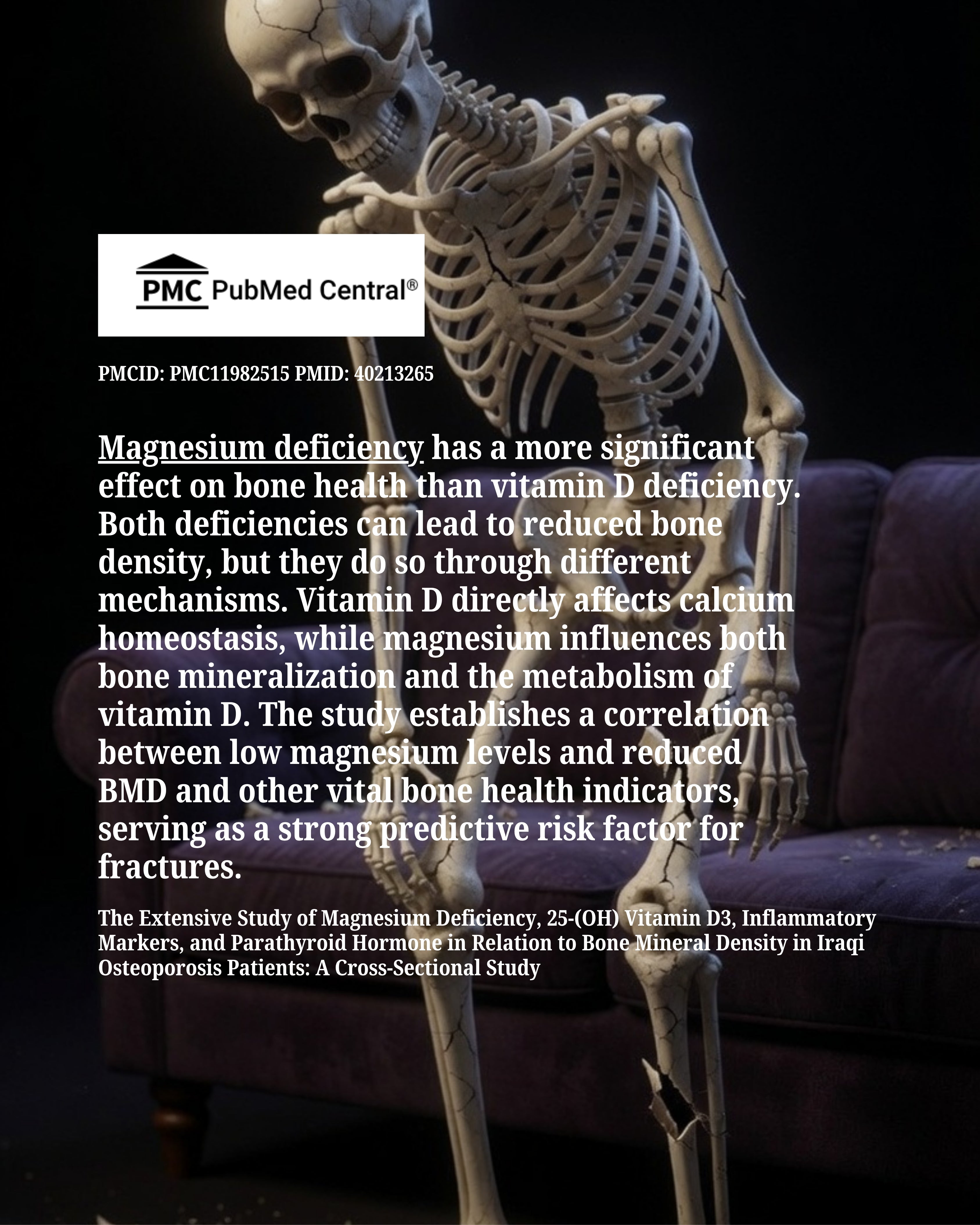 OsteoDense-T By The Plant Chemistry