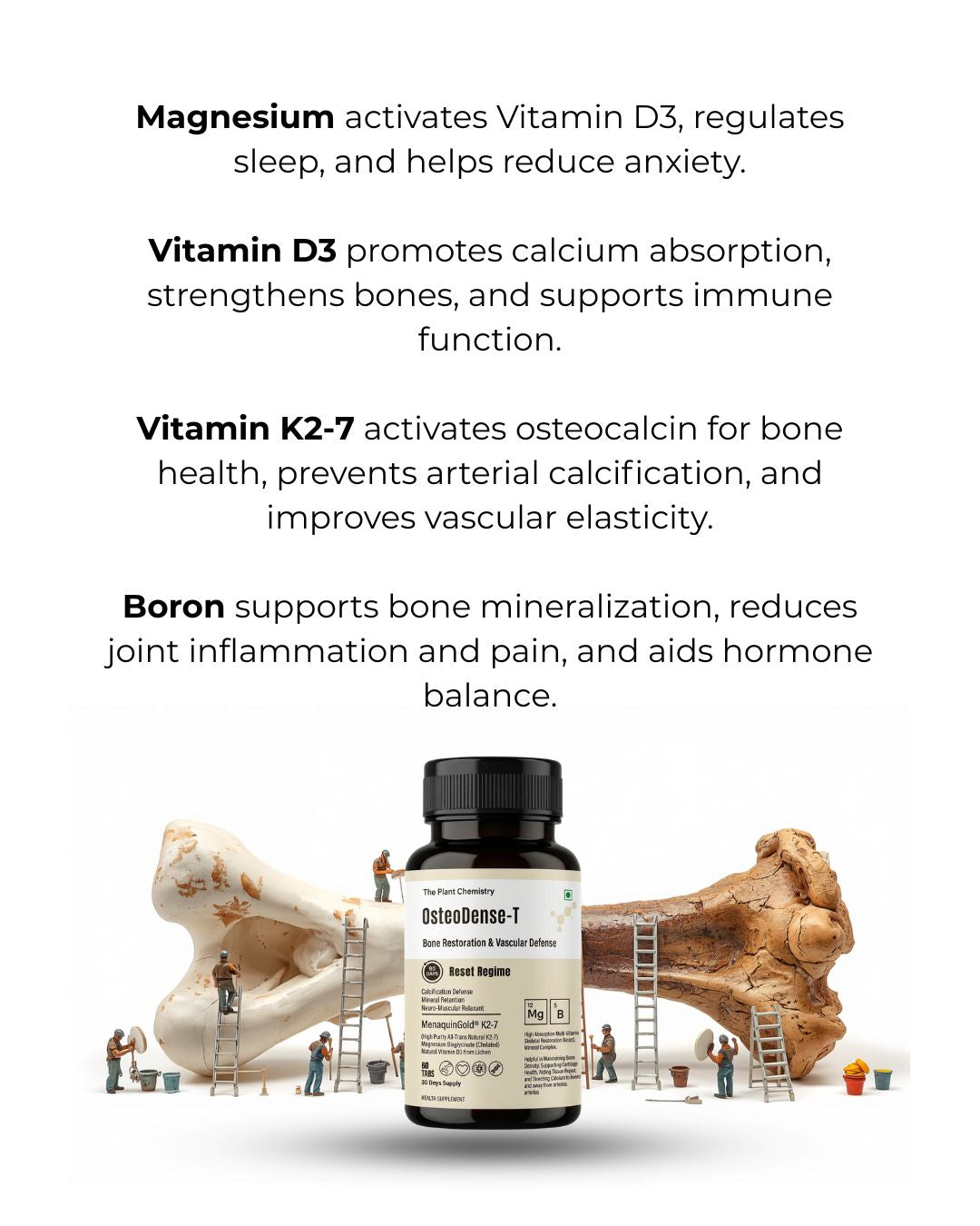OsteoDense-T By The Plant Chemistry